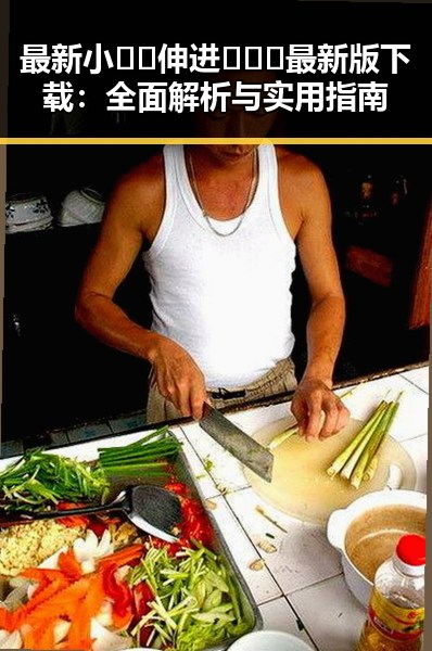 最新小🐔🐔伸进🈲🔞🔞最新版下载：全面解析与实用指南