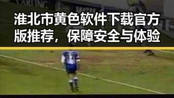 淮北市黄色软件下载官方版推荐，保障安全与体验