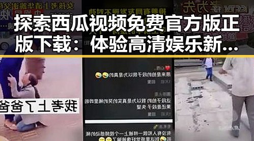 探索西瓜视频免费官方版正版下载：体验高清娱乐新风尚