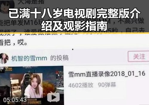 已满十八岁电视剧完整版介绍及观影指南