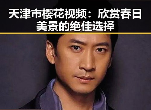天津市樱花视频：欣赏春日美景的绝佳选择