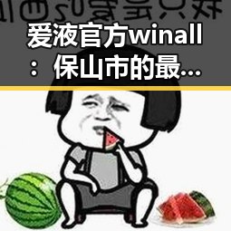 爱液官方winall：保山市的最新动态与应用探索