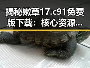 揭秘嫩草17.c 91免费版下载：核心资源获取指南