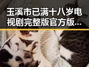 玉溪市已满十八岁电视剧完整版官方版下载免费版详解