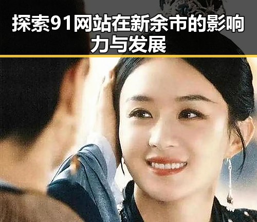 探索91网站在新余市的影响力与发展