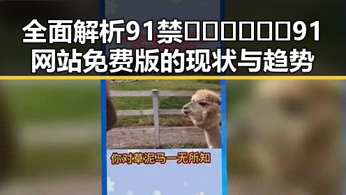 全面解析91禁🍆🍑🔞❌❌❌91网站免费版的现状与趋势