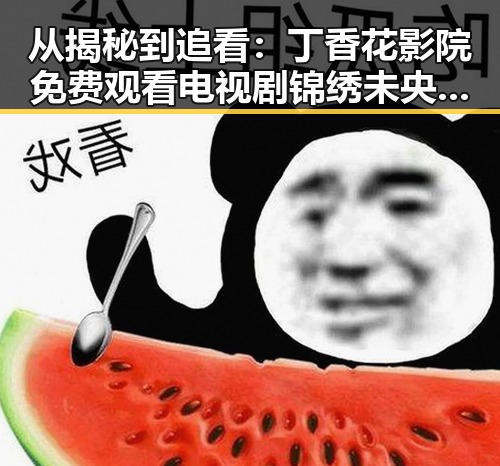 从揭秘到追看：丁香花影院免费观看电视剧锦绣未央官方版全解析