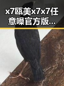 x7瓯美x7x7任意噪官方版现已成为黑河市热议的焦点