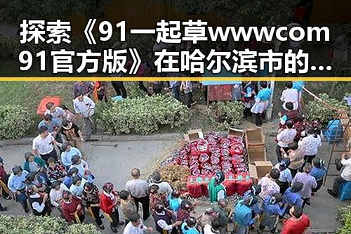 探索《91 一起草wwwcom91官方版》在哈尔滨市的应用与发展