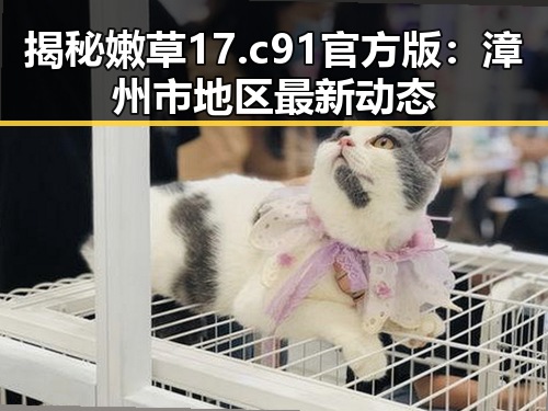 揭秘嫩草17.c 91官方版：漳州市地区最新动态