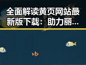 全面解读黄页网站最新版下载：助力丽水市企业快速扩展