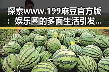 探索 www.199麻豆官方版：娱乐圈的多面生活引发热议