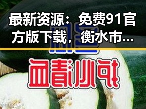 最新资源：免费91官方版下载，衡水市用户必备指南