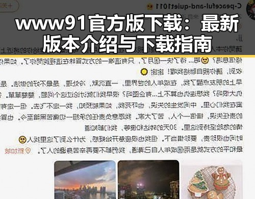 www91官方版下载：最新版本介绍与下载指南