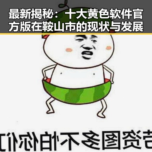 最新揭秘:十大黄色软件官方版在鞍山市的现状与发展
