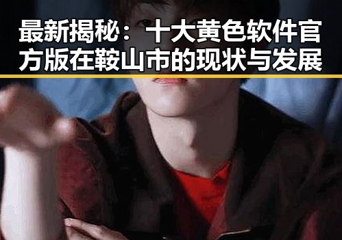 最新揭秘:十大黄色软件官方版在鞍山市的现状与发展