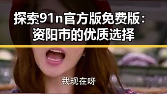 探索91n官方版免费版:资阳市的优质选择
