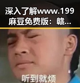 深入了解 www.199麻豆免费版：赣州市的优势与背景分析