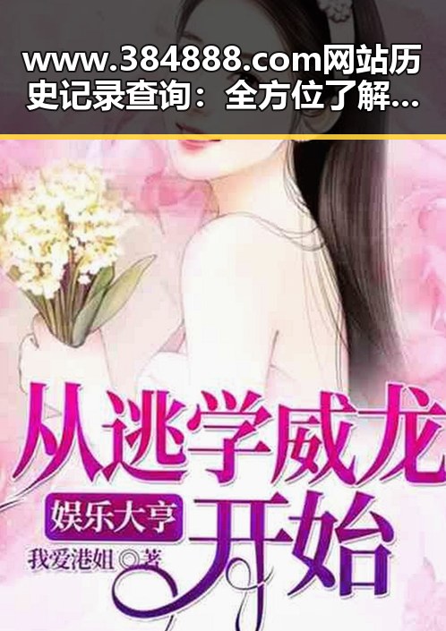 www.384888.com网站历史记录查询：全方位了解访问轨迹