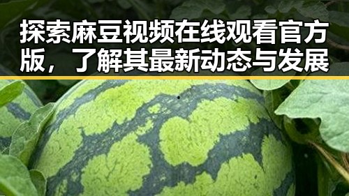 探索麻豆视频在线观看官方版，了解其最新动态与发展