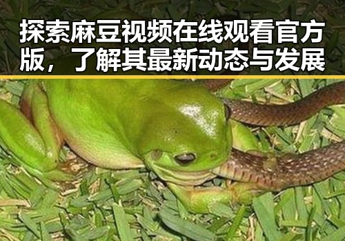 探索麻豆视频在线观看官方版，了解其最新动态与发展