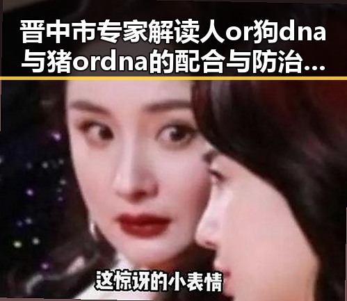 晋中市专家解读人or狗dna与猪ordna的配合与防治官方版
