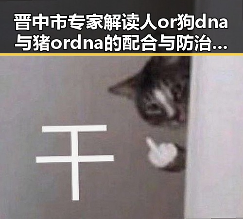 晋中市专家解读人or狗dna与猪ordna的配合与防治官方版
