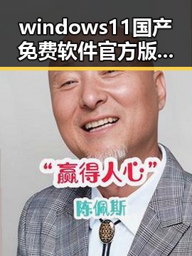 windows11国产免费软件官方版：确保系统安全与稳定的首选
