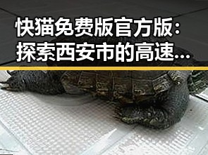 快猫免费版官方版：探索西安市的高速免费资源