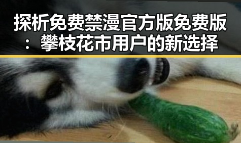 探析免费禁漫官方版免费版：攀枝花市用户的新选择