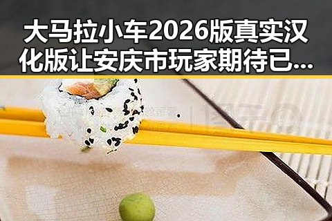 大马拉小车2026版真实汉化版让安庆市玩家期待已久的佳作