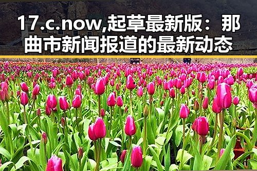 17.c.now,起草最新版：那曲市新闻报道的最新动态