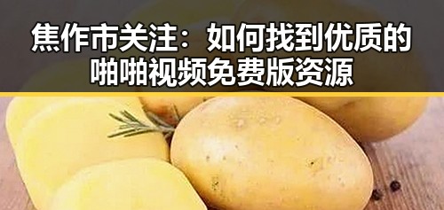 焦作市关注：如何找到优质的啪啪视频免费版资源
