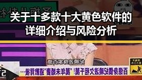 关于十多款十大黄色软件的详细介绍与风险分析
