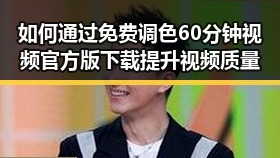 如何通过免费调色60分钟视频官方版下载提升视频质量
