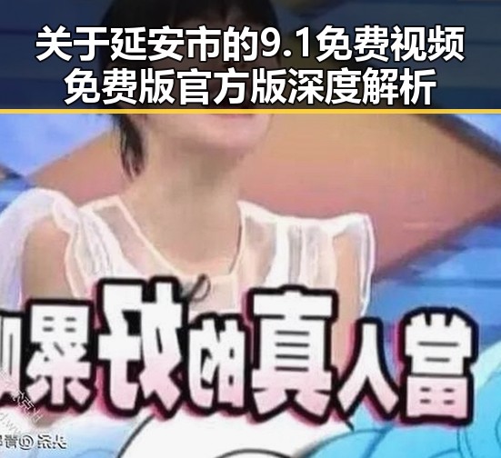 关于延安市的9.1免费视频免费版官方版深度解析