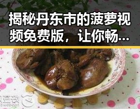 揭秘丹东市的菠萝视频免费版，让你畅享无限资源