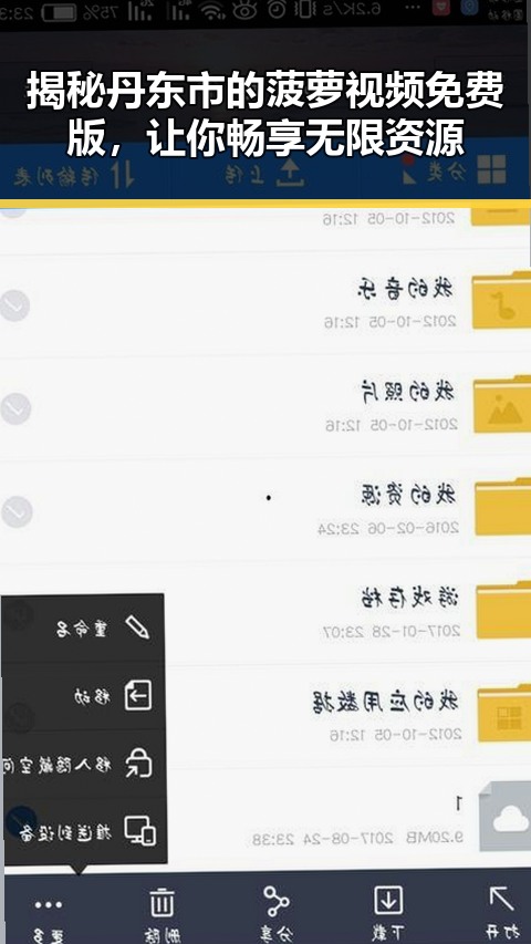 揭秘丹东市的菠萝视频免费版，让你畅享无限资源