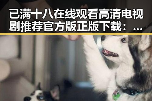 已满十八在线观看高清电视剧推荐官方版正版下载：娱乐资源与观看体验分析