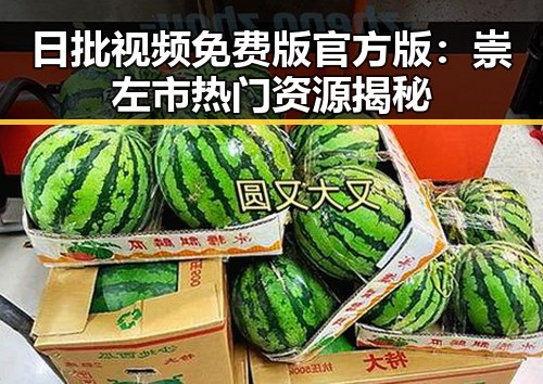 日批视频免费版官方版：崇左市热门资源揭秘
