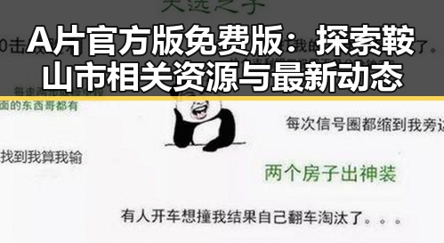 A片官方版免费版：探索鞍山市相关资源与最新动态