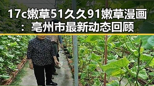 17c嫩草51久久91嫩草漫画：亳州市最新动态回顾