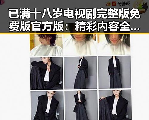 已满十八岁电视剧完整版免费版官方版：精彩内容全揭秘