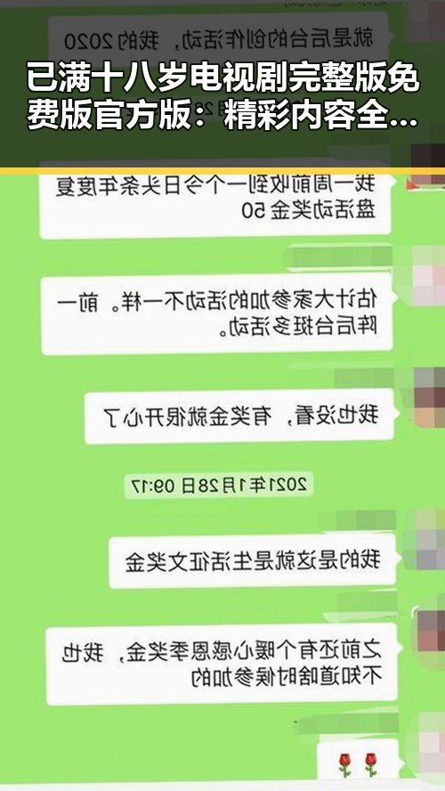 已满十八岁电视剧完整版免费版官方版：精彩内容全揭秘