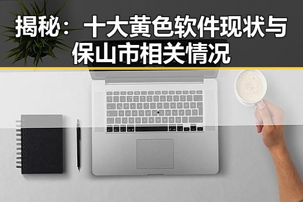 揭秘:十大黄色软件现状与保山市相关情况