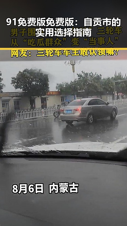 91免费版免费版：自贡市的实用选择指南
