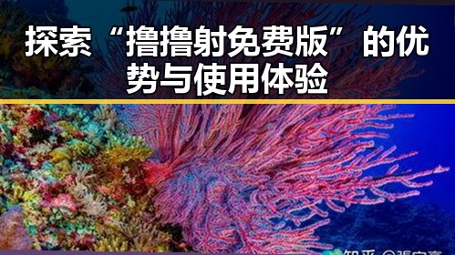 探索“撸撸射免费版”的优势与使用体验