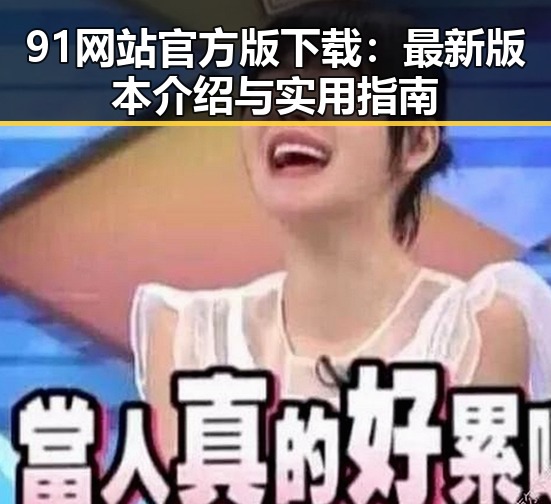 91网站官方版下载:最新版本介绍与实用指南