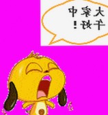 爱液官方官方版：临沂市用户体验与现状解析