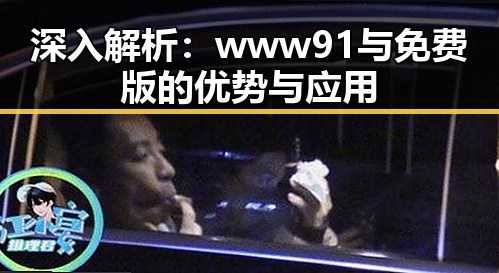 深入解析：www91与免费版的优势与应用